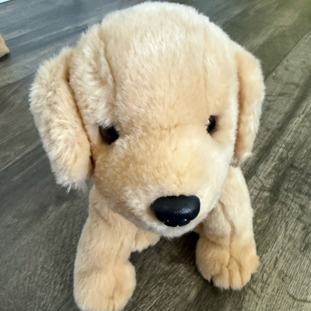 FETCH 1999 TY Beanie BUDDY Dog - No Ear Tag